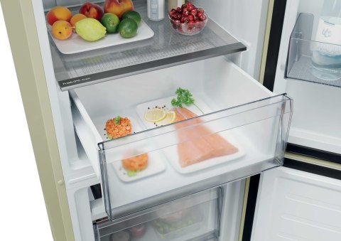 Chłodziarko-zamrażarka CNCQ2T518EC