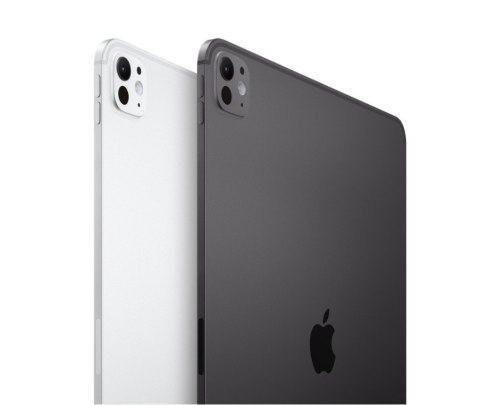 IPad Pro 11-calowy Wi-Fi 2 TB ze standardowym szkłem - Gwiezdna czerń
