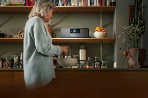 Mikrowieża TAM6805/10