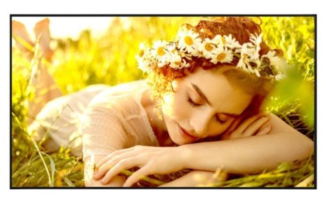 Monitor wielkoformatowy 55UL5Q-E 500cd/m2 UHD 24/7