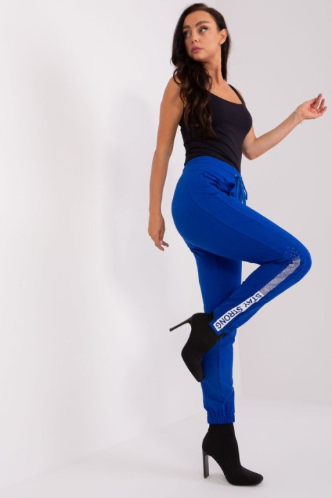 Spodnie Dresowe Model RV-DR-8547.08 Cobalt - Relevance Spodnie Dresowe Model RV-DR-8547.08 Cobalt - Relevance