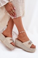 Sandał Klapki Model Isolene 55-A08 Beige - Step in style