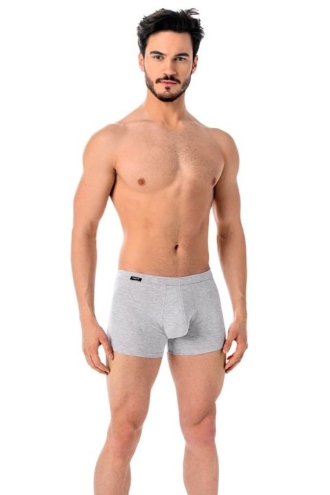Bokserki Model Levi 801 Grey - Teyli Bokserki Model Levi 801 Grey - Teyli
